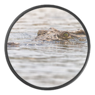 Nile Crocodile Hockey Puck