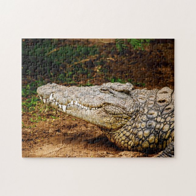 Nile Crocodile, Jigsaw Puzzle (Horizontal)