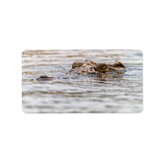 Nile Crocodile Label (Front)
