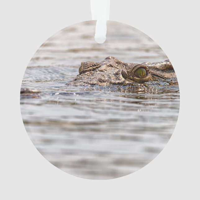 Nile Crocodile Ornament (Back)