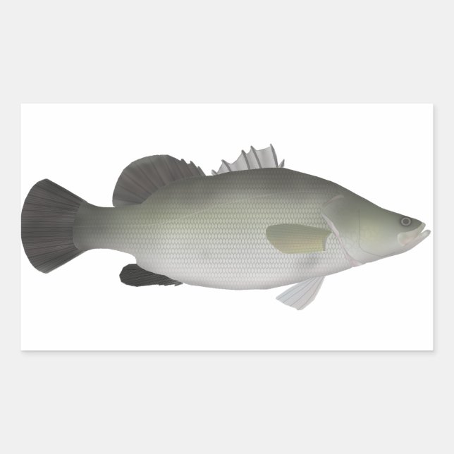 Nile Perch Sticker (Front)