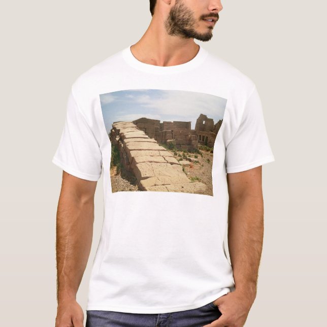 Nilometer, from the Mortuary T-Shirt (Front)