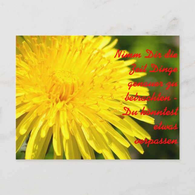 Nimm Dir die Zeit Dinge genauer zu b... Postcard (Front)