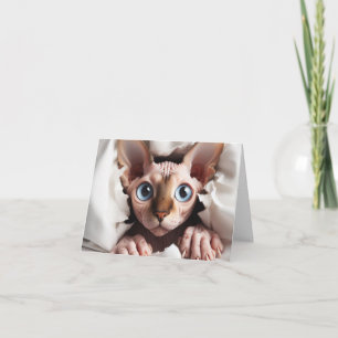 N'Importe Quelle Carte Sphynx Occasion