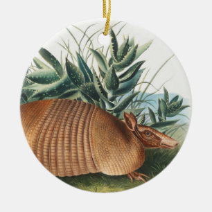 Nine-banded Armadillo (Dasypus Peba) Illustration Ceramic Ornament
