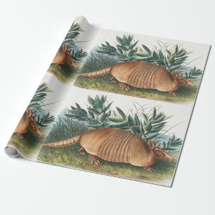 Nine-banded Armadillo (Dasypus Peba) Illustration Wrapping Paper