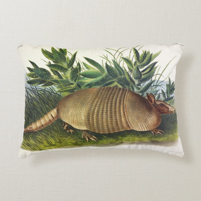 Nine-Banded, Long-nosed Armadillo by Audubon Accent Pillow (Front)