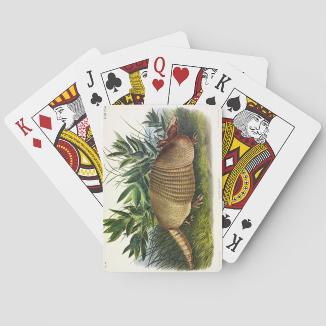 Nine-Banded, Long-nosed Armadillo by Audubon Playing Cards (Back)