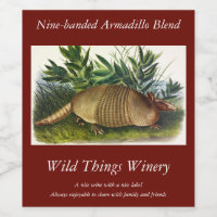 Nine-Banded, Long-nosed Armadillo by Audubon