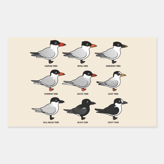 Nine Birdorable Terns (labelled) Sticker (Front)