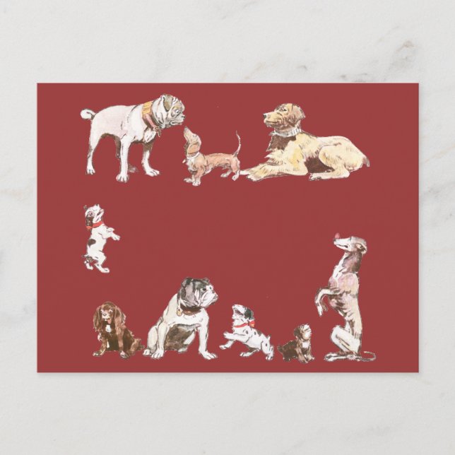 Nine Dogs Postcard (Front)