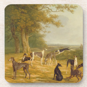 Nine Greyhounds in a Landscape (oil on canvas) Coaster