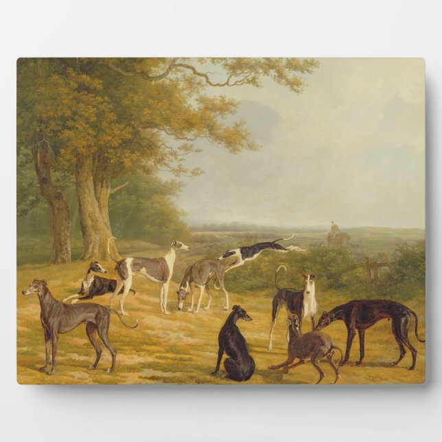 Nine Greyhounds in a Landscape (oil on canvas) Plaque (Front)