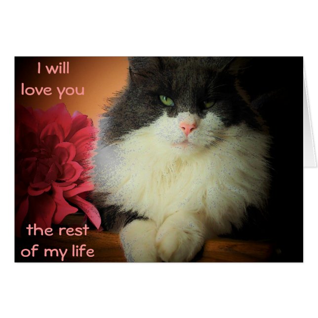 Nine Lives Love Commitment (Front Horizontal)
