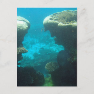 Ningaloo Reef Postcard