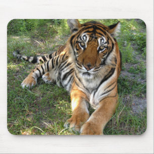 nini 005 mouse pad