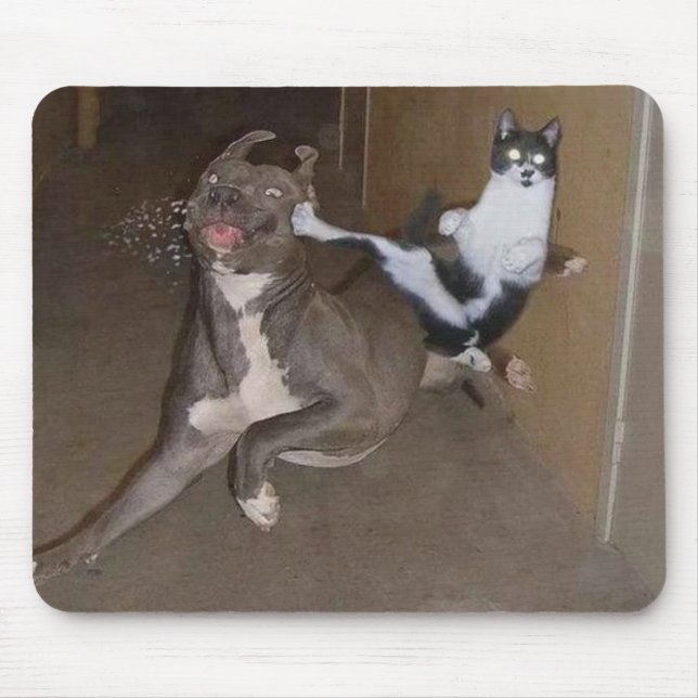 Ninja Cat Mousepad (Front)