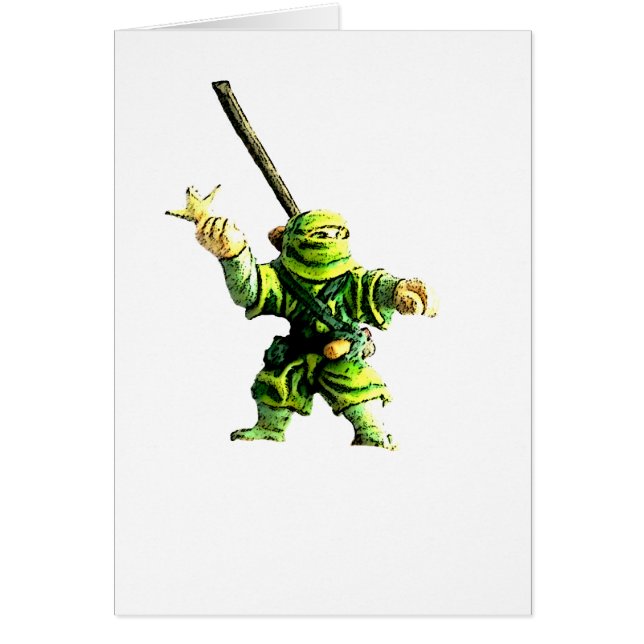 Ninja in Green (Front)