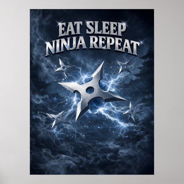 Ninja Shadow Ice Strike Poster (Front)