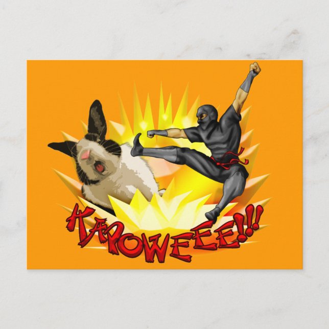 Ninja vs. Bunny Postcard(?!?) Postcard (Front)