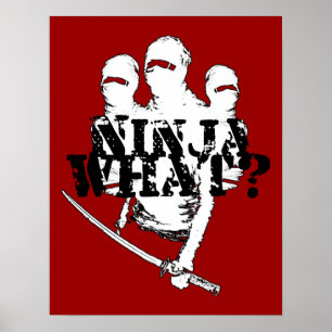 NINJA WHAT? POSTER