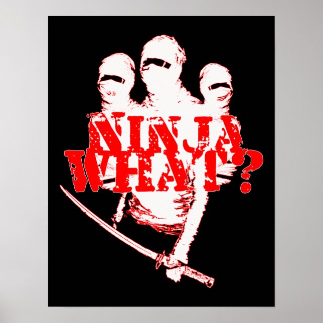 NINJA WHAT? POSTER (Front)