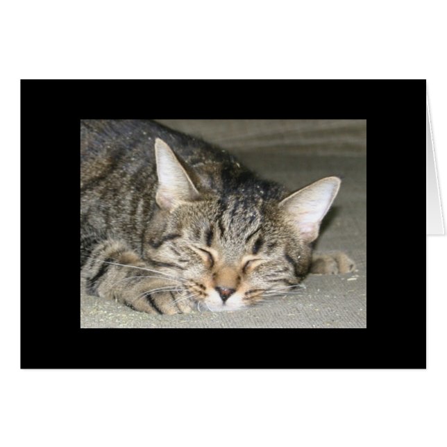 Nirvana (Front Horizontal)