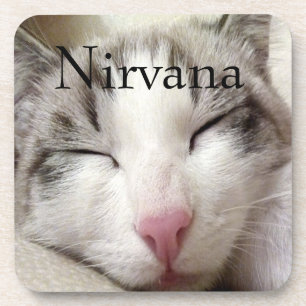 Nirvana Cat Coaster