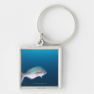 Nishiizumachi, Shizuoka Prefecture, Japan Keychain