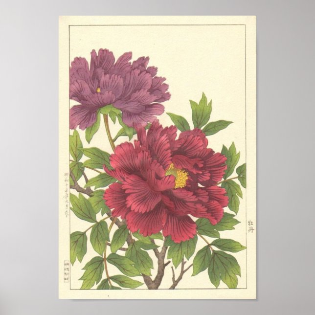 Nishimura Hodo Peony Japanese Flowers Fine Art Poster (Front)