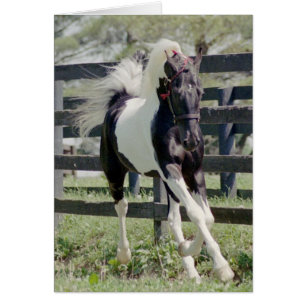 Nite de la renommée