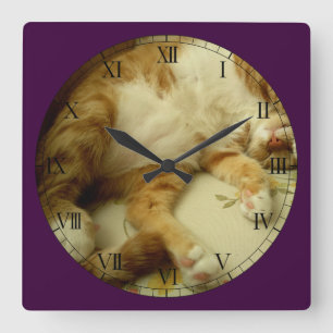Nite Nite Dreaming Cat Wall Clock