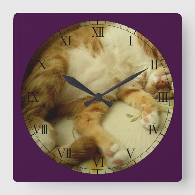 Nite Nite Dreaming Cat Wall Clock (Front)