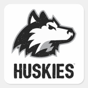NIU Huskies Distressed Square Sticker