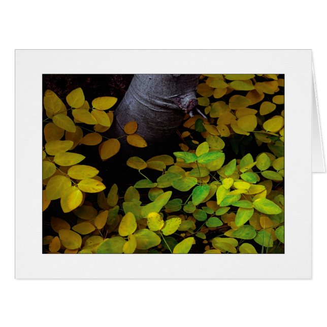 Niveau inférieur de la feuille (Devant horizontal)