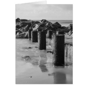 Niveaux de gris de la digue