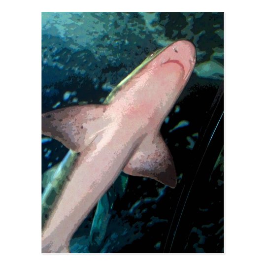 NJ Shark CB Postcard