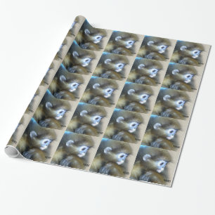 NMB No Monkey Business Wrapping Paper