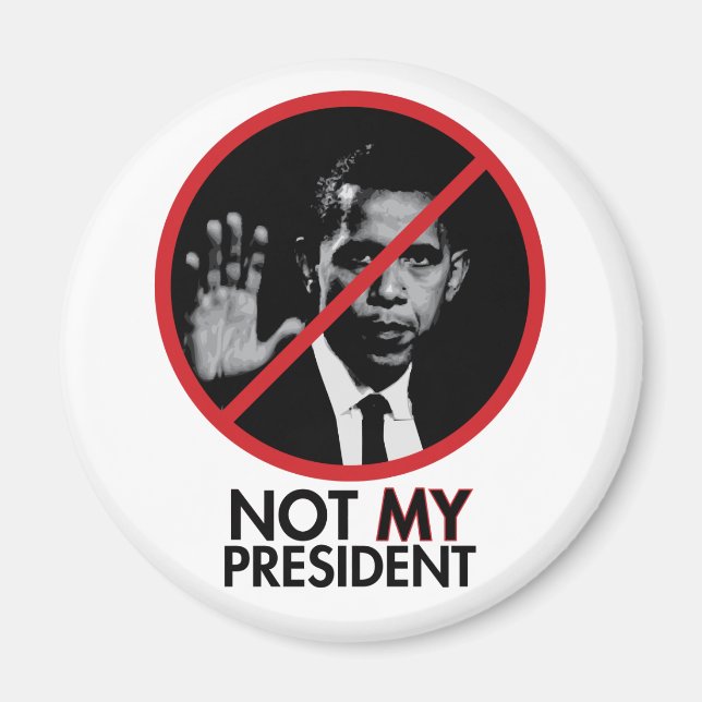 NMP-magnet Magnet (Front)