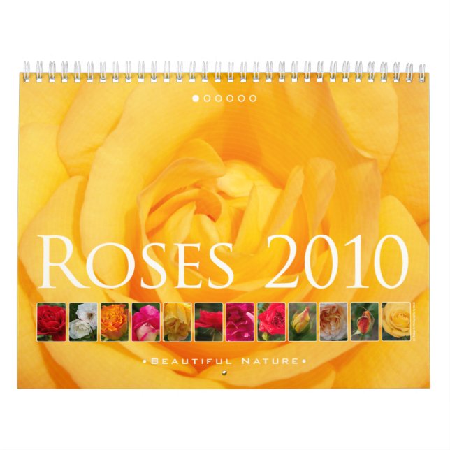 (no 1) Rose 2010: Belle nature - Calendrier (Protection)