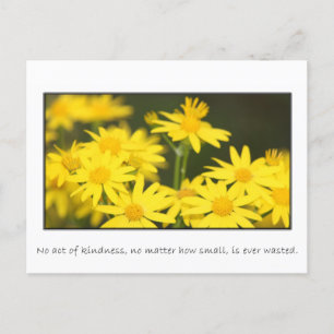 No act of kindness is ever wasted postcard