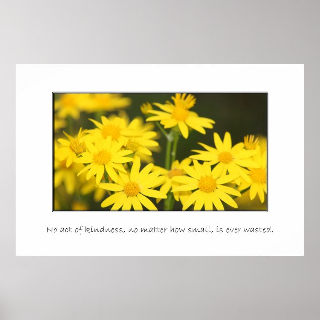 No act of kindness is ever wasted poster (Front)