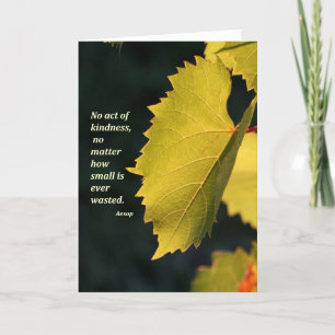 No act of kindness is ever wasted thank you card
