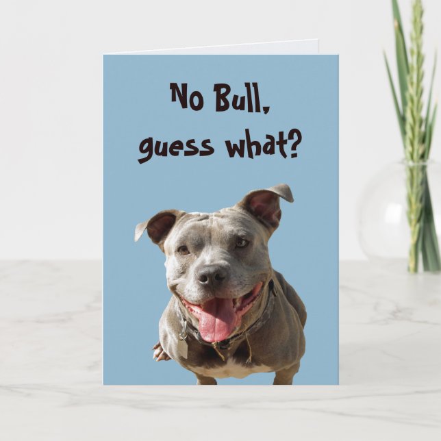 No Bull Wedding Anniversary Card (Front)