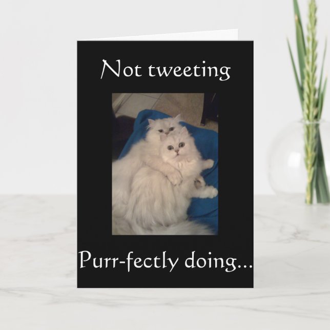 NO CATS TWEETING-HAPPY PUR-FECT BIRTHDAY CARD (Front)