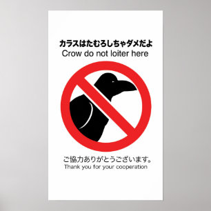 No Crow Poster