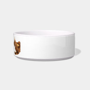 No Declaw Kitty Cat Food Bowl