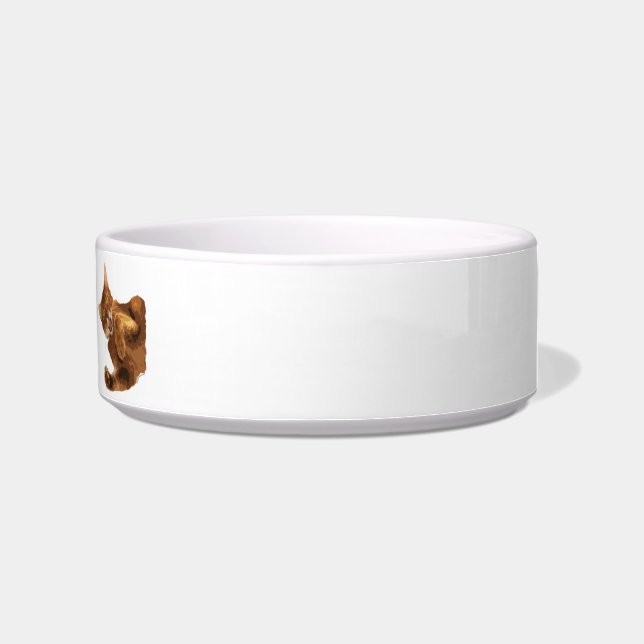 No Declaw Kitty Cat Food Bowl (Right)