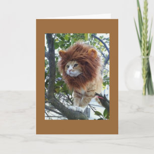 NO DISGUISE-40th BIRTHDAY GROUP Card