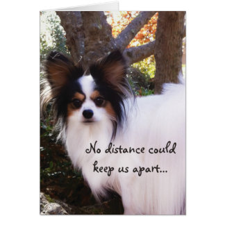 NO distance could keep us apart Papillon Card